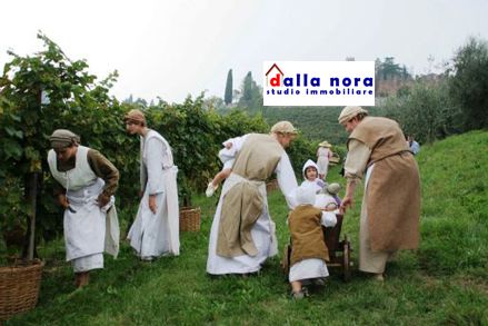 LA VENDEMMIA